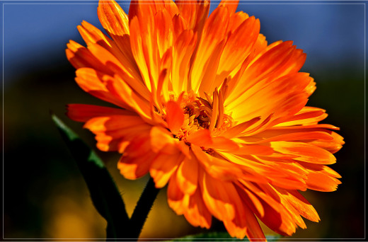 581779 (a): :1600x1050
